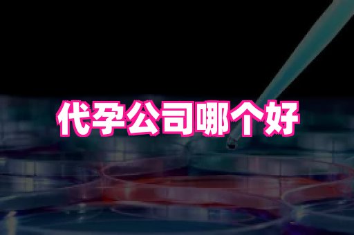 武汉助孕网站 3